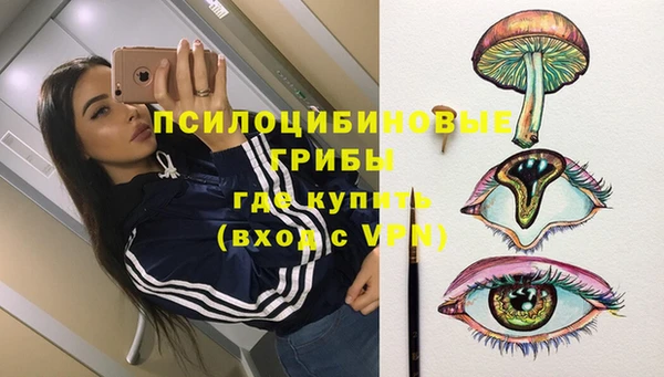 тгк Алексин