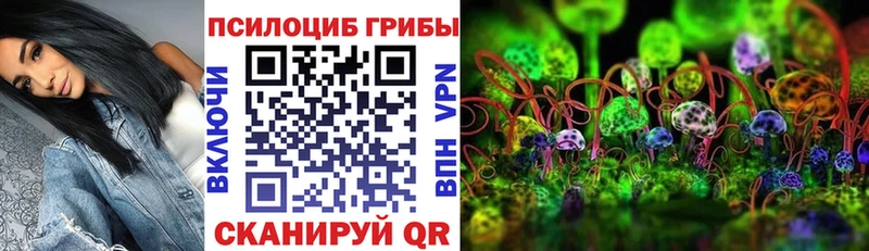 наркошоп  Елизово  Галлюциногенные грибы мицелий 